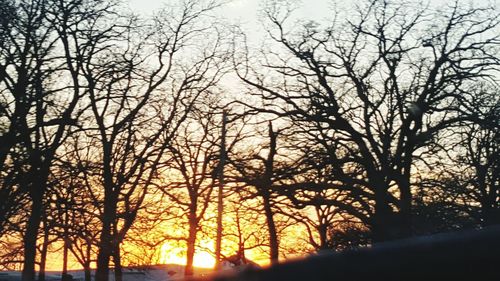 Bare trees against sky at sunset