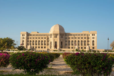 View of flowering plants in front of building