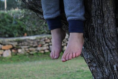 Low section of kid sitting on tree