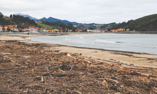 Scenic view of beach against sky