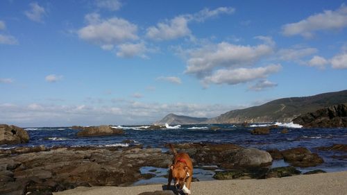 Scenic view of sea against sky