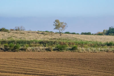 Scenic view of field against sky