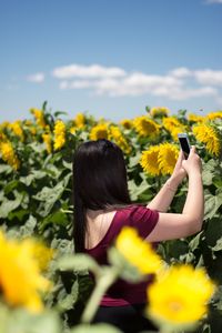 Yellow flowers against cloudy sky