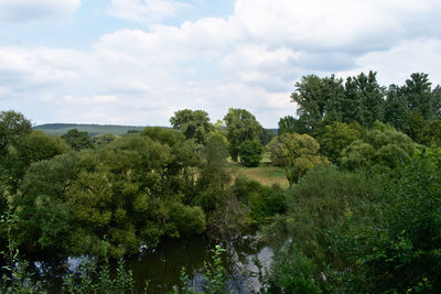 Scenic view of forest against sky