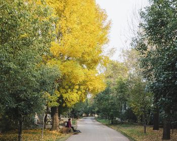 Road amidst trees during autumn