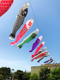 Low angle view of fish hanging against sky