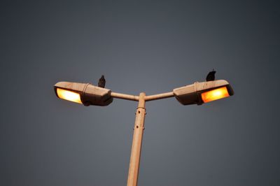 Low angle view of birds perching on street lights against clear sky during dusk