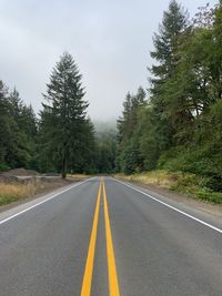 Road amidst trees against sky