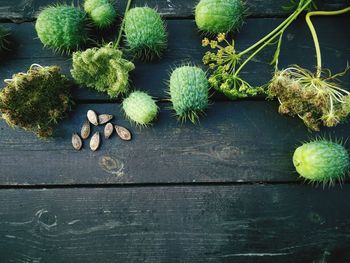 High angle view of fruits on plant