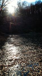 Close up of sunlight