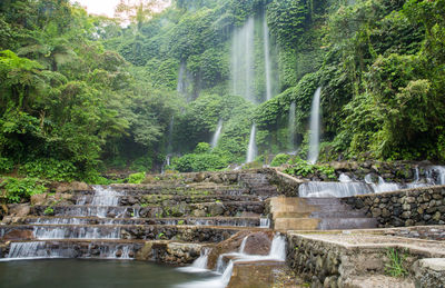 View of waterfall in forest