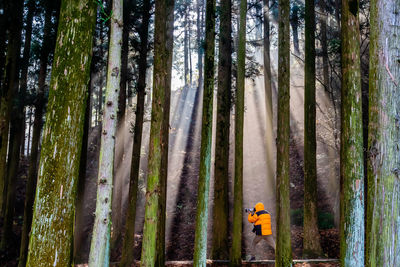 Man photographing in forest