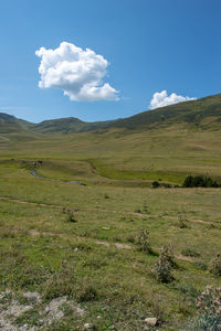 Scenic view of field against sky