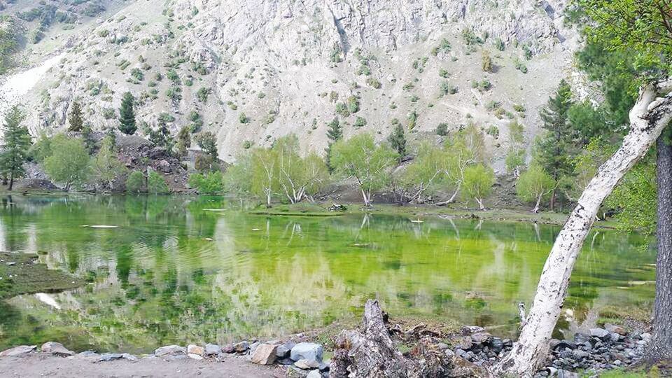 water, tranquility, tranquil scene, lake, tree, scenics, beauty in nature, nature, reflection, mountain, rock - object, river, idyllic, non-urban scene, day, lakeshore, outdoors, forest, no people, growth