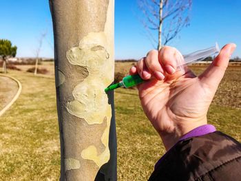 Cropped hand injecting syringe on tree trunk