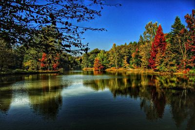 Reflection of trees in lake