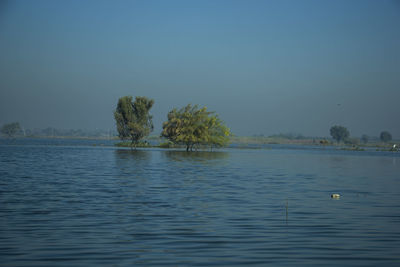 Scenic view of lake against clear blue sky