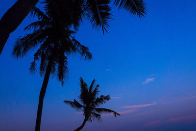 Low angle view of silhouette palm trees against blue sky