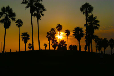Silhouette of palm trees on beach during sunset
