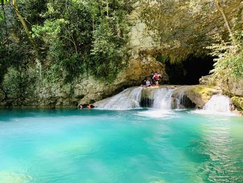 Scenic view of waterfall in forest