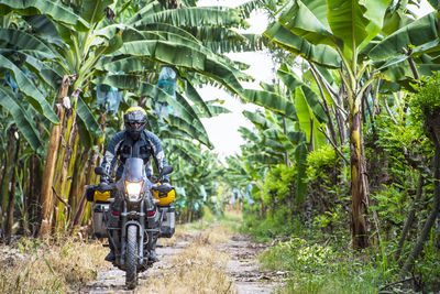 Man riding touring motorbike through banana plantation, ecuador