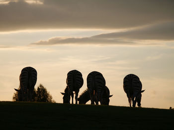 Silhouette people on field against sky during sunset