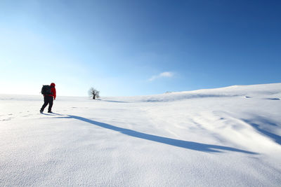 Full length of person walking on snow covered landscape