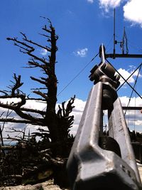 Low angle view of bare trees against sky