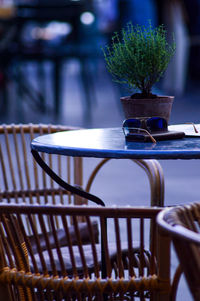 Close-up of potted plant on table