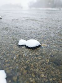 Close-up of snow on beach against sky