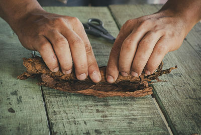 Cuban cigar manufacturer rolls a cigar out of a leaf.