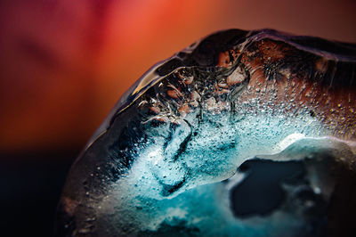 Close-up of frozen water