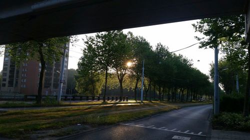 Road passing through forest