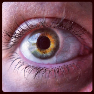 human eye