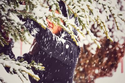 Close-up of snow on plant