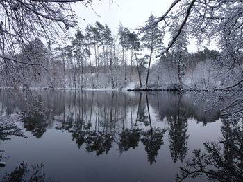 Reflection of trees in lake against sky