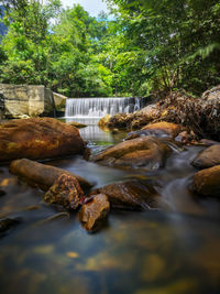 River flowing through rocks in forest