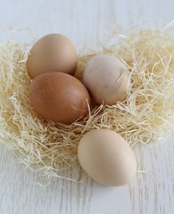 Close-up of eggs