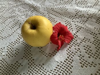 Close-up of red rose on floor