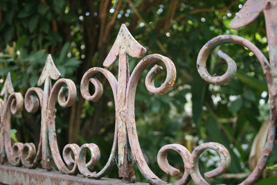 Close-up of rusty metal fence against plants