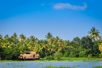 Scenic view of palm trees against clear blue sky