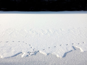 Snow covered landscape