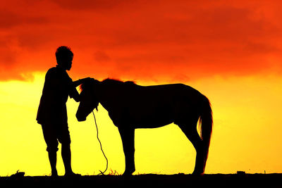 Man stroking horse on field against sky during sunset