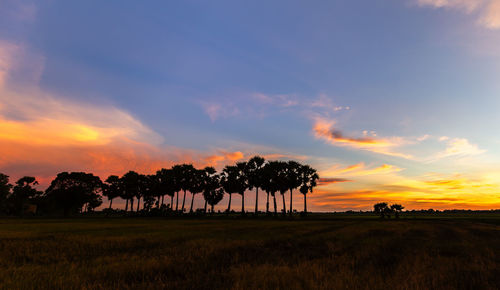 Scenic view of field against sky during sunset