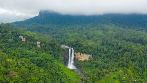 Waterfall in the green forest. laxapana falls in the jungle. sri lanka.