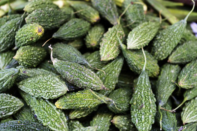 Full frame shot of green leaves