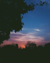 Silhouette of trees at sunset