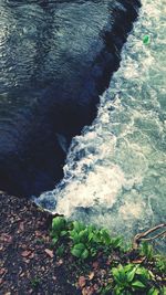 Rocks in sea