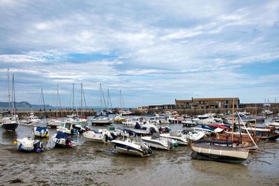 Sailboats moored in harbor