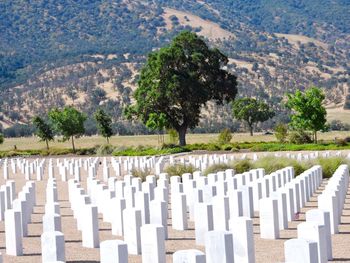 White tombstones in graveyard during sunny day